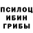Галлюциногенные грибы Magic Shrooms El' Habib