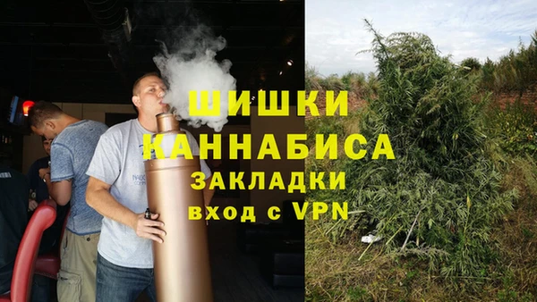 PSILOCYBIN Осташков