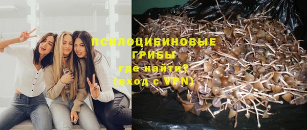 герыч Алзамай