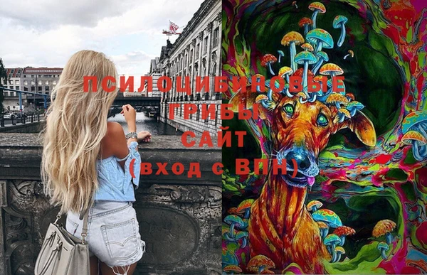 герыч Алзамай