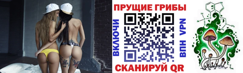 Псилоцибиновые грибы мицелий  купить  сайты  Игарка 